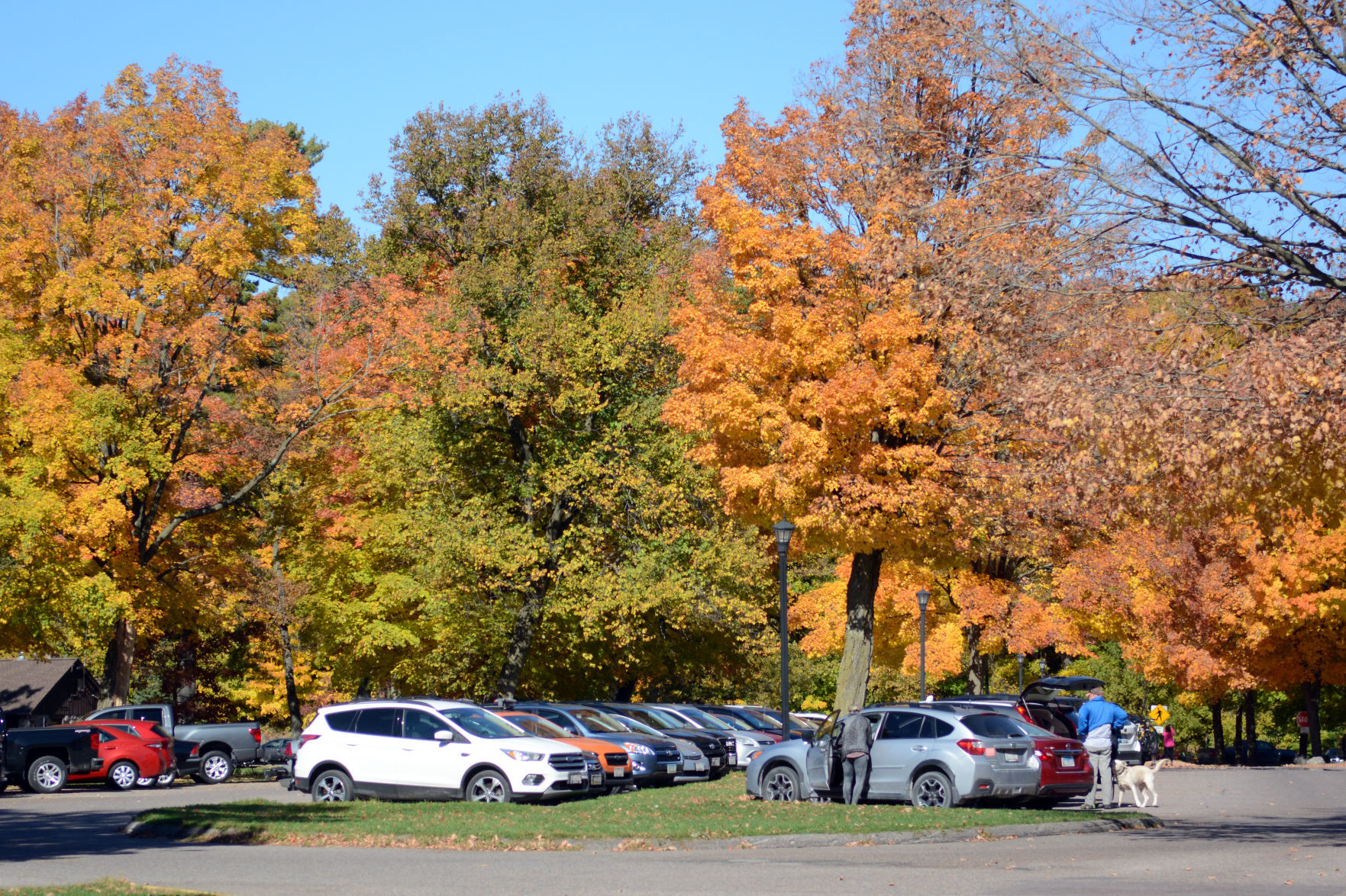 Baraboo area fall color, Oct. 8, 2020